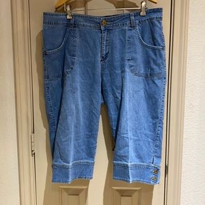 Just Blu Jean shorts.